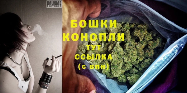 мдпв Россошь
