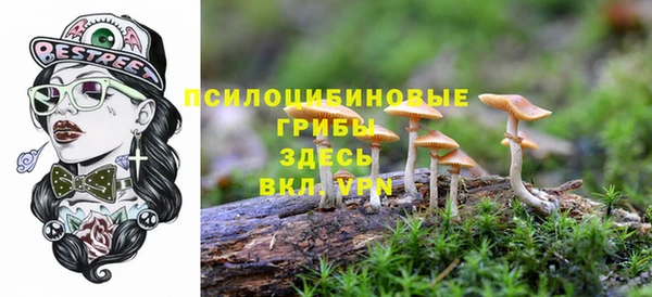 таблы Алексеевка