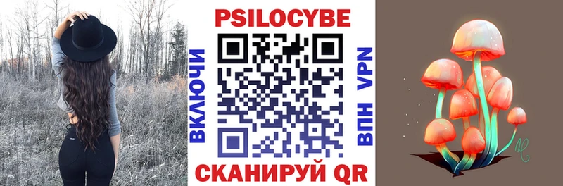 Галлюциногенные грибы прущие грибы хочу Харовск